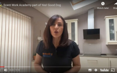 How to make up distraction scents for Scentwork with your dog
