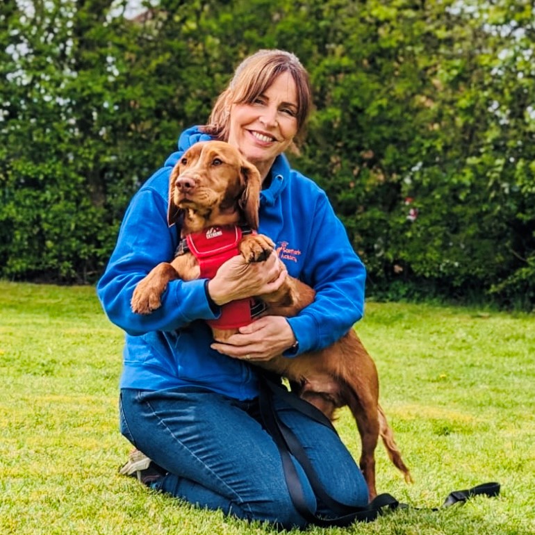 One to One Scent Work Training Scent Work Academy