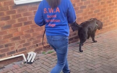 Scent Work – Dog Body Language Indicators