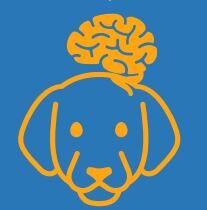 brain dog