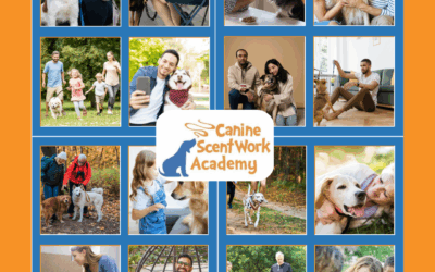 Scentwork is Perfect for Every Family Dog