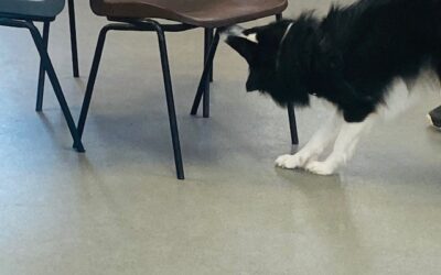 Truffle Oil – The Tricky Stinky Odour – Part One